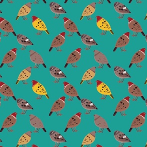 Rows of Quail on Teal