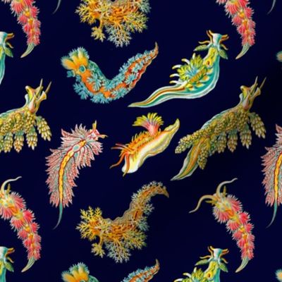 Colorful  Nudibranch Tossed on Midnight Blue Ernst Haeckel