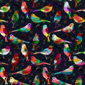 Colorful Wild Birds