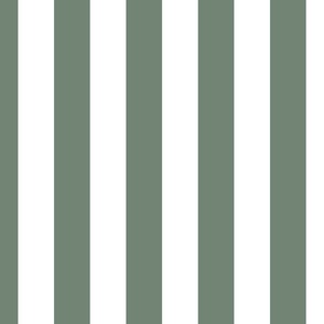 2" (5cm) Cabana Stripe Awning Stripes Boho Sage and White