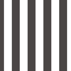 2" (5cm) Cabana Stripe Awning Stripes  Charcoal Gray and White