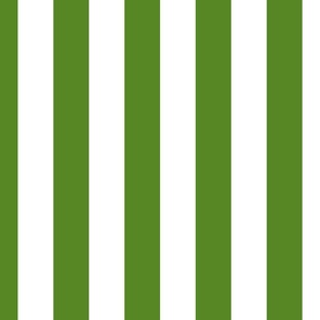  2" (5cm) Cabana Stripe Awning Stripes Kelly Green Light Green and White