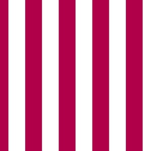  2" (5cm) Cabana Stripe Awning Stripes Raspberry Pink and White