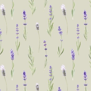 Watercolor Lavender on Green