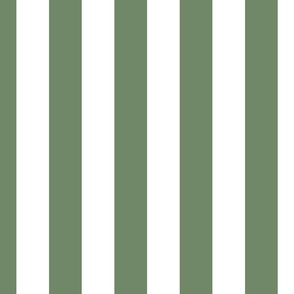  2" (5cm) Cabana Stripe Awning Stripes Seaweed Green Earthy Green and White