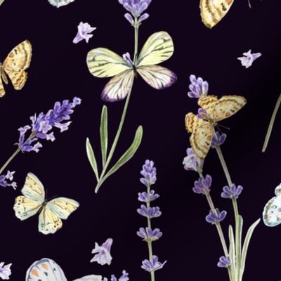 Watercolor Lavender and Butterflies on Black