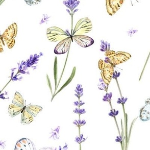 Watercolor Lavenden and Butterflies on White