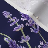 Watercolor Lavender Flowers on Dark blue