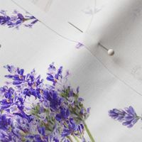 Watercolor Lavender Flowers on White