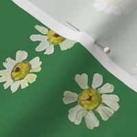 Summer Forest Green Daisy