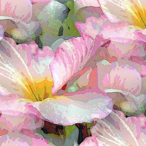 Powder pink primrose