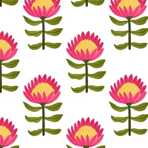 Big Protea flowers, pink Australian floral tropical print