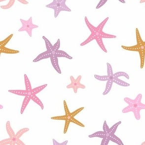 Small starfishes with different shapes - purple and pink on white background