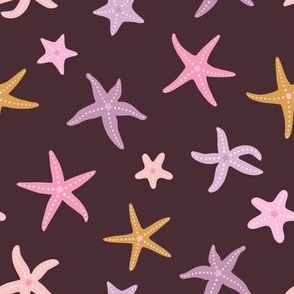 Small starfishes with different shapes - purple and pink on dark background