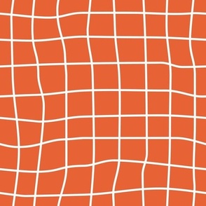 grid on burnt orange