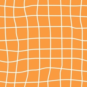 grid on orange