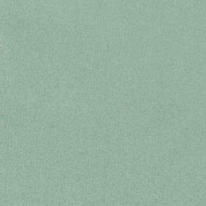 Softly Textured Chic Pastel Celadon Green Printed Solid Color