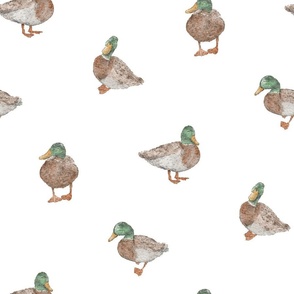 Cute Ducks | Watercolor | Large