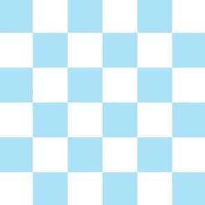 Checkerboard One Inch Checks Light Baby Blue White