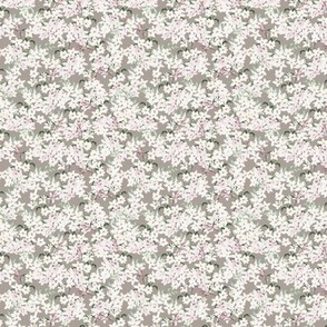 Tiny Scale Floral Jasmine Blooms Pattern | Boho Brown and White Flowers MK006