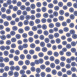 Blueberries -Hand drawn and scattered