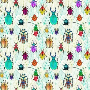 Beetles of the world small