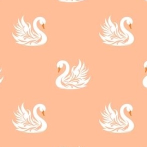 Swans Peach Fuzz