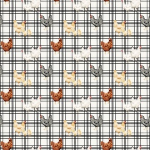 Watercolor Chickens on Farmhouse Plaid 6 inch