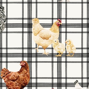 Watercolor Chickens on Farmhouse Plaid 24 inch.