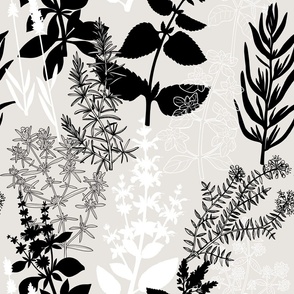 Herbs de Provence pattern