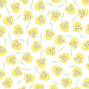 Yellow pansies on a white background (large)