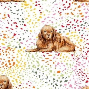 Newfoundland dogs polka dot on happy + colorful paint splatters + swirls on white