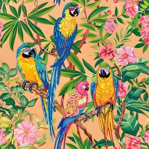 Macaw parrots and pink climbing clematis on orange