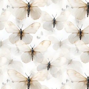 Dreamy Large  White Moths Butterflies Soft  Gray Accents Sleek Modern Boho Wallpaper Monochromatic 