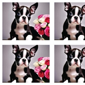 Boston terrier puppy red roses 10 x 8 inches panel