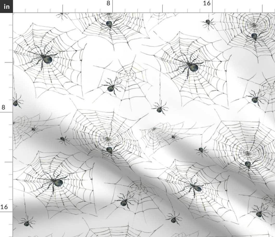 Spider web on white