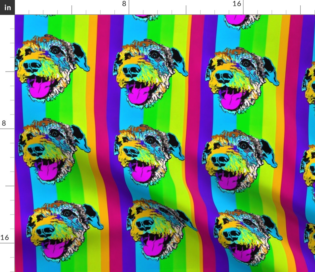 dogs portrait bright colors m