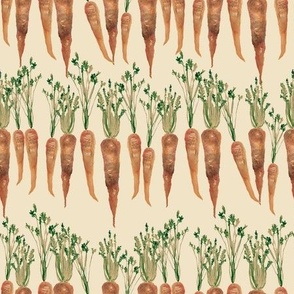 Retro Carrots / Watercolor / Vegetable