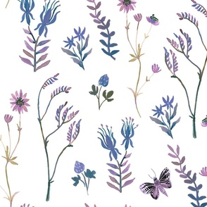 Blue and Purple Wildflowers