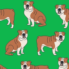 English Bulldogs on Green 26