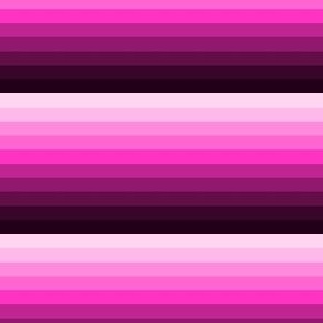 Raspberry Ombre Horizontal Stripes