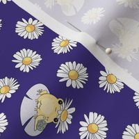 Cute gold kawaii frogs on silver lily pads on indigo