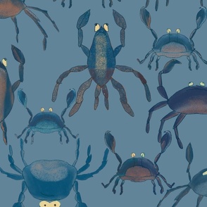 Crabby Blue! 