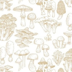 Mushrooms line art green