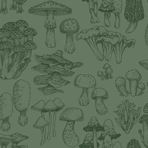 Mushrooms line art green