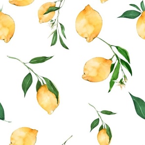 Summer,citrus,lemon fruit,Mediterranean art