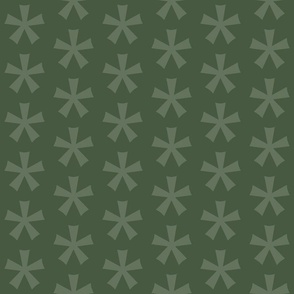 star_flower_485941_evergreen