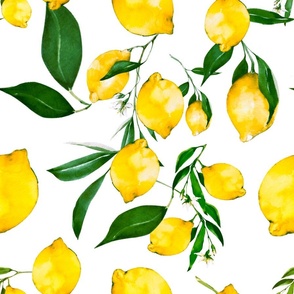 Summer,citrus,lemon fruit,Mediterranean art