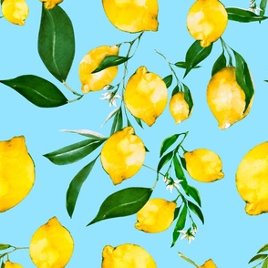Summer,citrus,lemon fruit,,blue background,Mediterranean art