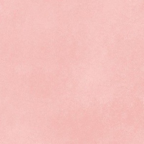 Light Pink Coral Solid Texture Blush